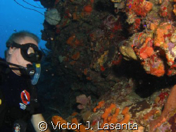 mr. dusty at the wall in parguera area,,,windows dive sit... by Victor J. Lasanta 